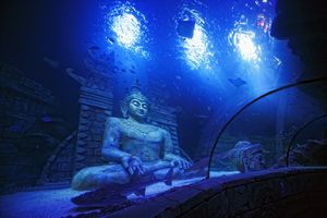 nuovo-acquario-sea-life-jesolo Tunnel marino all'acquario Sea Life di Lido di Jesolo