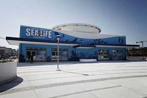 sea-life-aquarium-lido-jesolo Acquario Sea Life di Lido di Jesolo