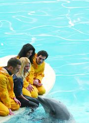 parco-oltremare-addestartore-delfini Parco Oltremare di Riccione, programmi didattici con i delfini