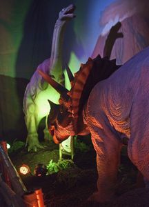 miragica-novita-2013-mostra-dinosauri Miragica Novità 2013 - Mostra sui Dinosauri