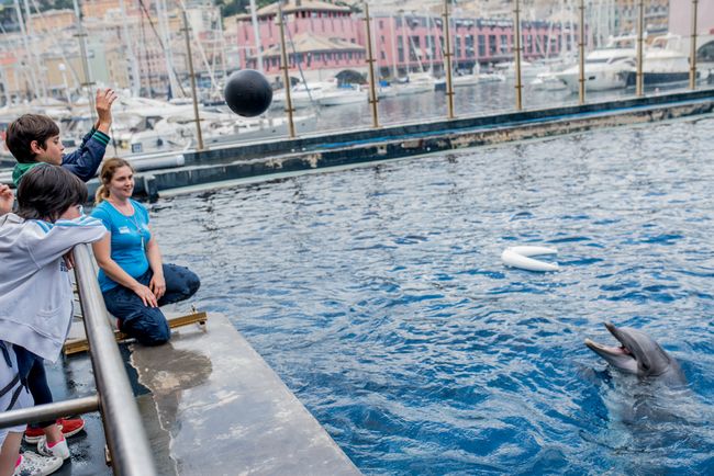 Visita guidata a bordo vasca dei delfini all'Acquario di Genova