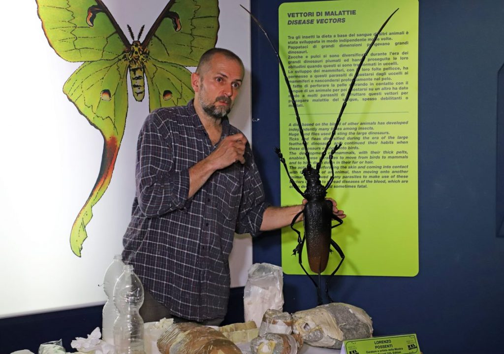 Esperto descrive un insetto gigante nella nuova mostra didattica dell'acquario di Cattolica