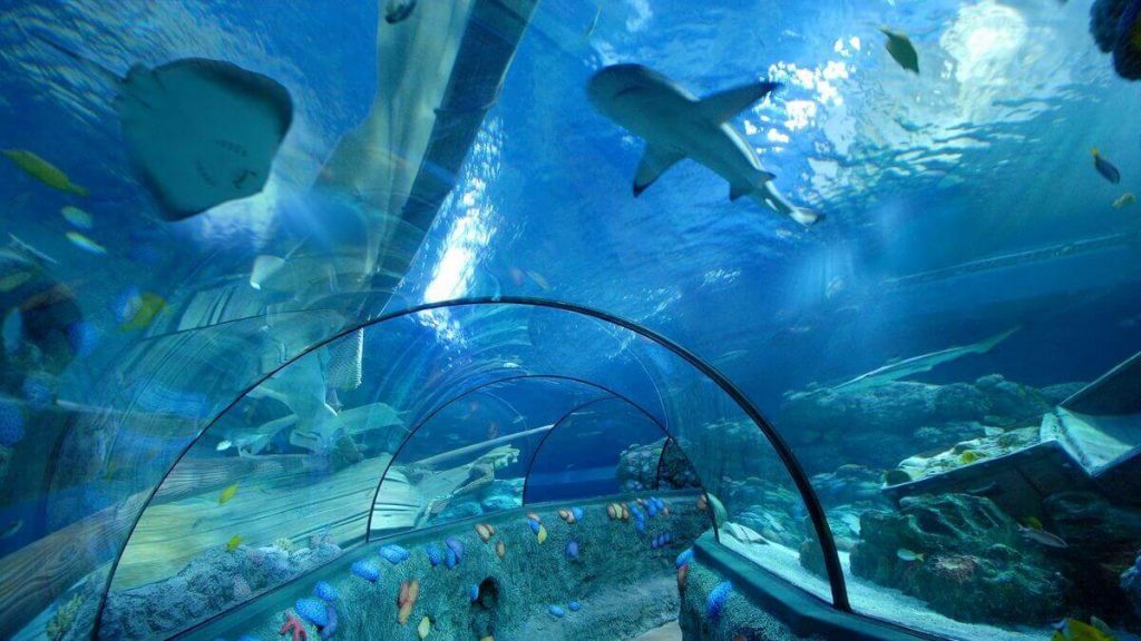 Tunnel oceanico del Gardaland Sea Life Aquarium