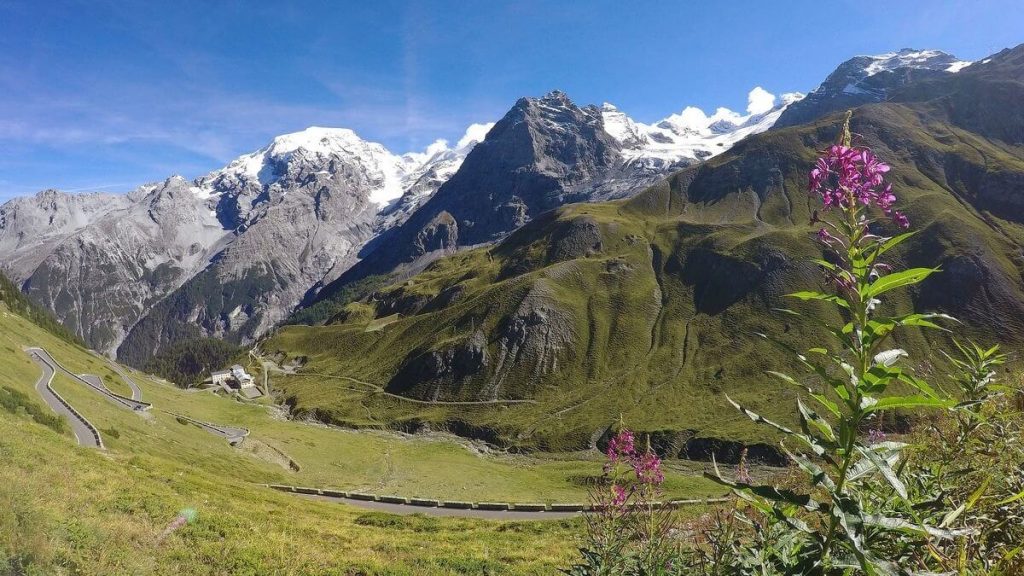 Panorama spettacolare con vista sulle montagne del Parco Nazionale dello Stelvio