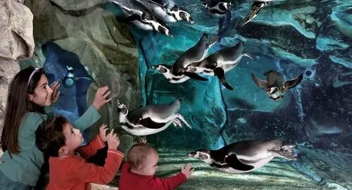 Bambini davanti alla vasca dei pinguini