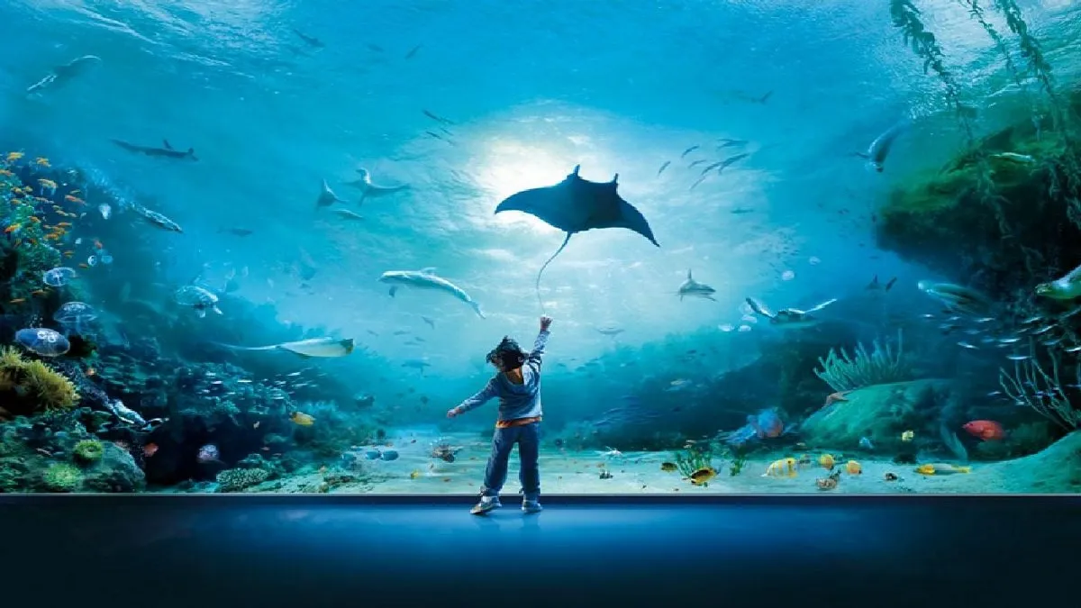 Immagine che rappresenta un bambino che ammira la vasca delle razze all'Acquario di Genova