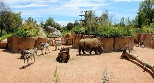 Animali africani nell'area Serengheti dello zoo di Cumiana