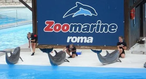 Delfinario di Torvaianica