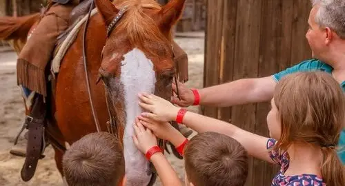 Papà e figli accarezzano un cavallo del parco Cowboyland