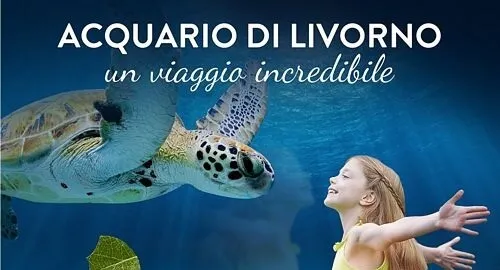 Una bambina ammira una tartaruga marina all'Acquario di Livorno