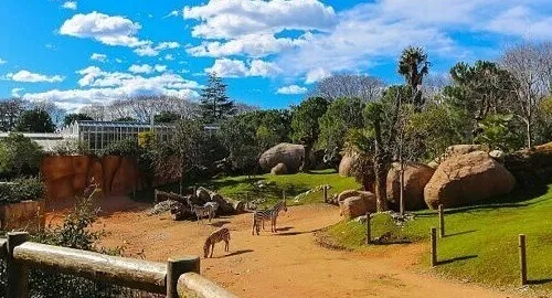 Animali dello zoo Le Cornelle