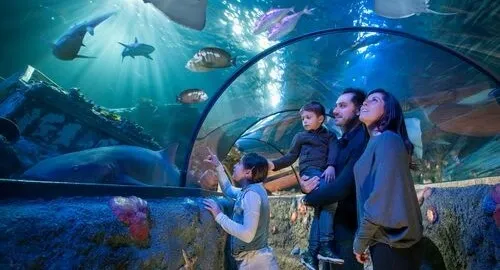Tunnel sottomarino nella vasca oceanica dell'acquario di Gardaland