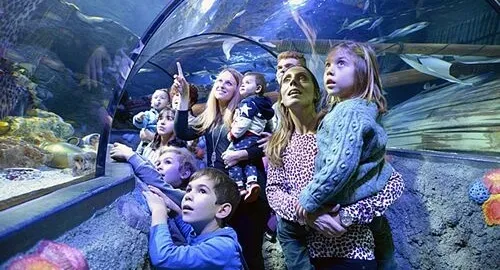 Famiglie ammirano gli squali dell'acquario di Gardaland attraverso il tunnel oceanico