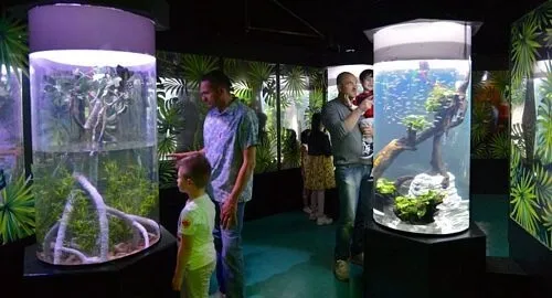 Vasche dei pesci tropicali all'acquario Gardaland Sea Life