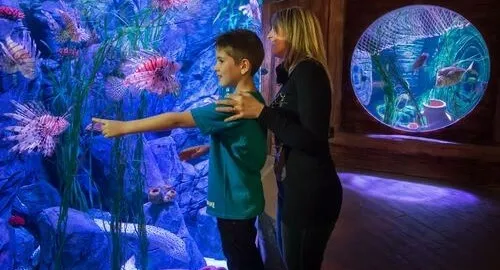 Mamma e figlio ammirano un pesce scorpione al Sea Life di Gardaland Resort