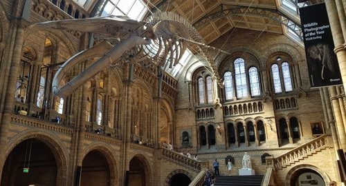 Museo di storia naturale di Londra