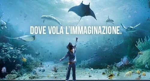 Bambina ammira la vasca delle razze dell'Acquario di Genova