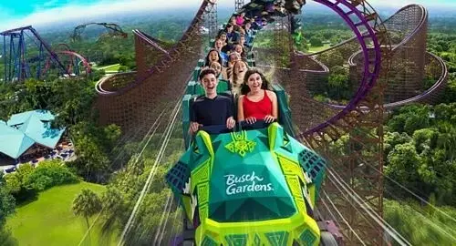 Le nuove montagne russe in legno Iron Gwazy del parco Bush Gardens a Tampa in Florida
