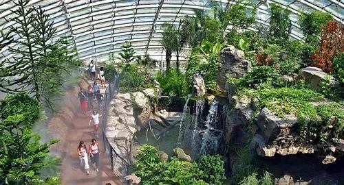 Immagine della serra tropicale del Parco Oltremare di Riccione
